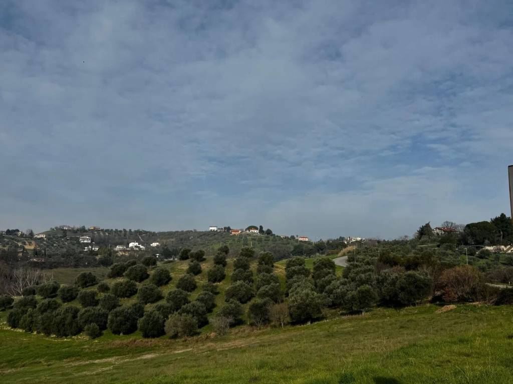 terreno agricolo in vendita a Spoltore
