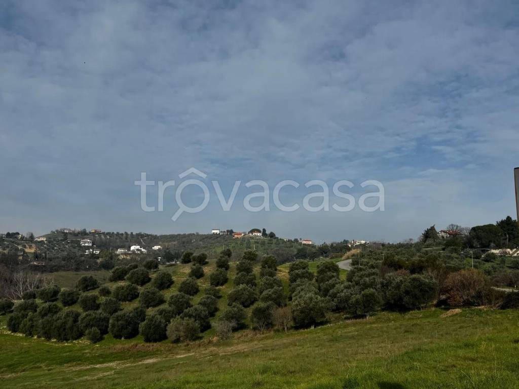 terreno agricolo in vendita a Spoltore