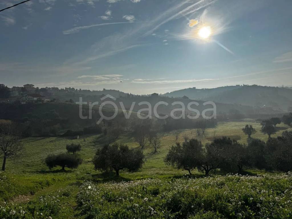 terreno agricolo in vendita a Spoltore