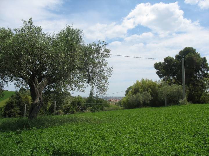 terreno edificabile in vendita a Spoltore in zona Villa Raspa