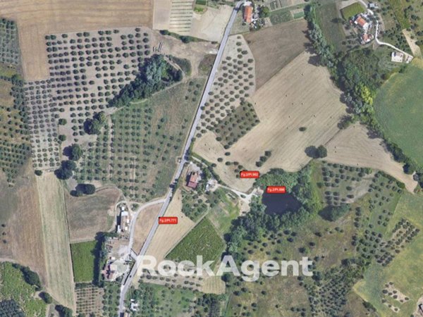 casa indipendente in vendita a Spoltore