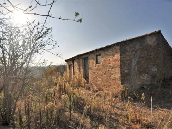 casa indipendente in vendita a Spoltore