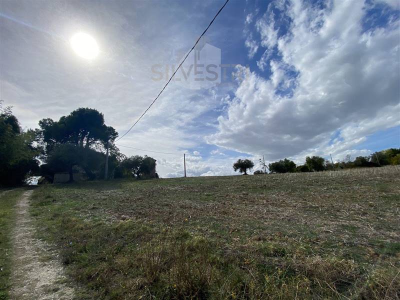 terreno agricolo in vendita a Spoltore