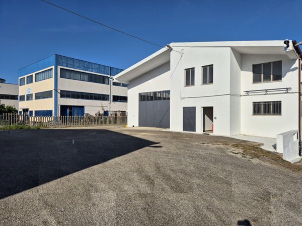 capannone in vendita a Spoltore in zona Villa Raspa