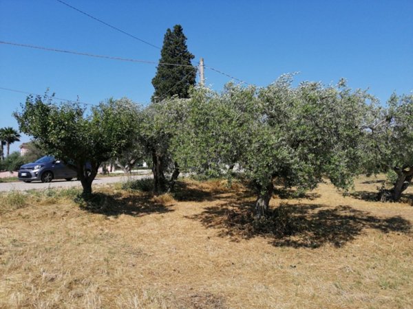 terreno edificabile in vendita a Spoltore in zona Pescarina