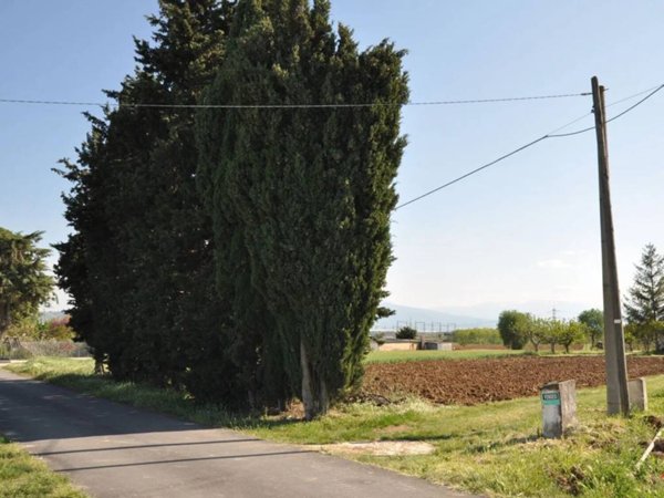terreno agricolo in vendita a Spoltore in zona Santa Teresa