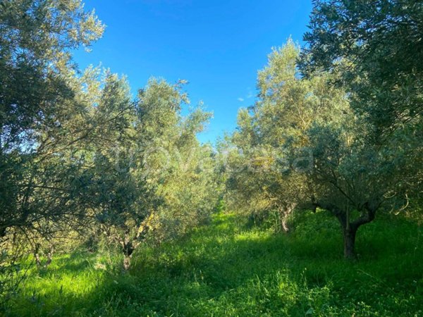 casa indipendente in vendita a Spoltore in zona Villa Santa Maria