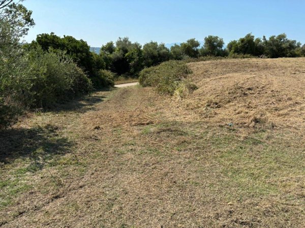 terreno agricolo in vendita a Spoltore