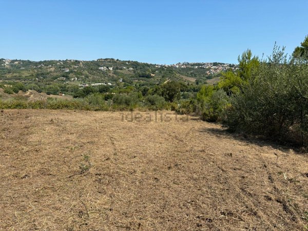 terreno agricolo in vendita a Spoltore