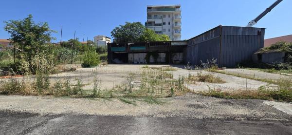 negozio in vendita a Spoltore