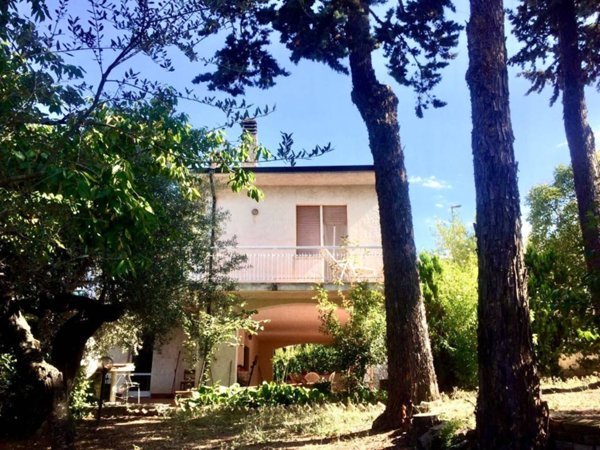 casa indipendente in vendita a Spoltore