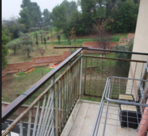 appartamento in vendita a Spoltore