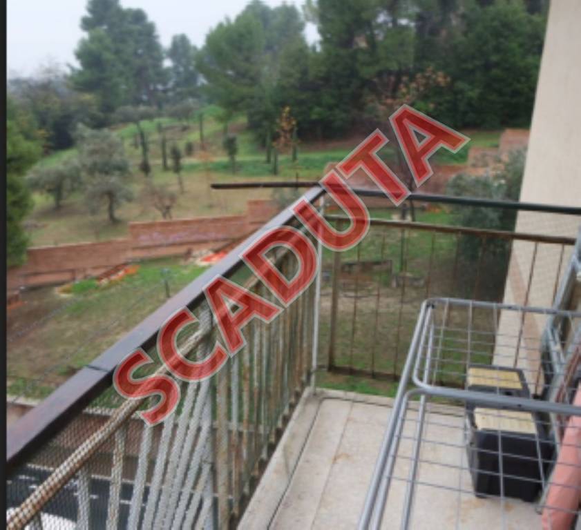 appartamento in vendita a Spoltore