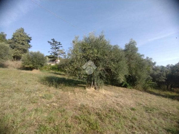 terreno agricolo in vendita a Spoltore