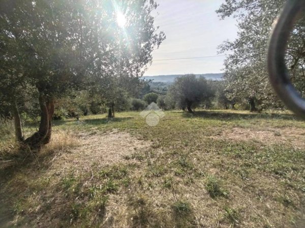 terreno agricolo in vendita a Spoltore