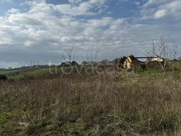 casa indipendente in vendita a Spoltore