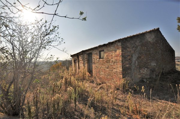 esavano in vendita a Spoltore