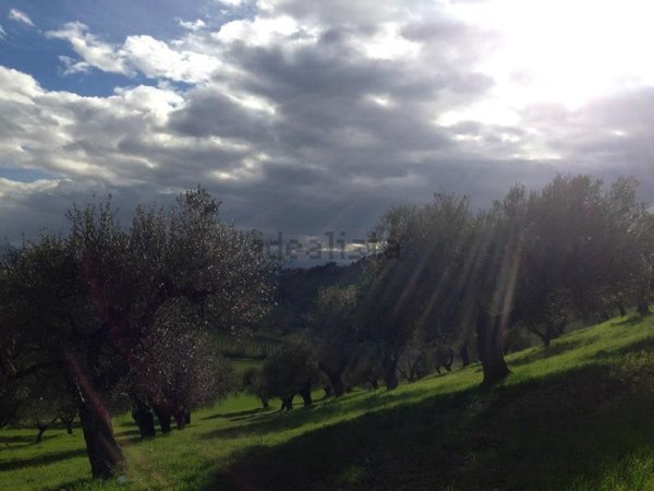 terreno agricolo in vendita a Spoltore