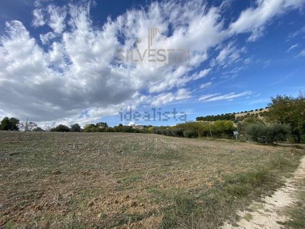 terreno agricolo in vendita a Spoltore