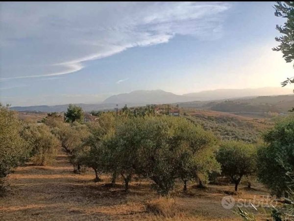 terreno edificabile in vendita a Spoltore in zona Ripoli
