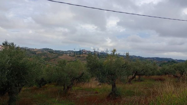 casa indipendente in vendita a Spoltore