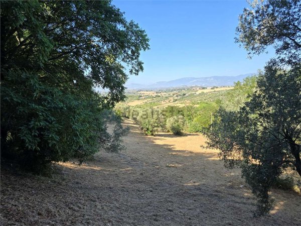 terreno agricolo in vendita a Spoltore