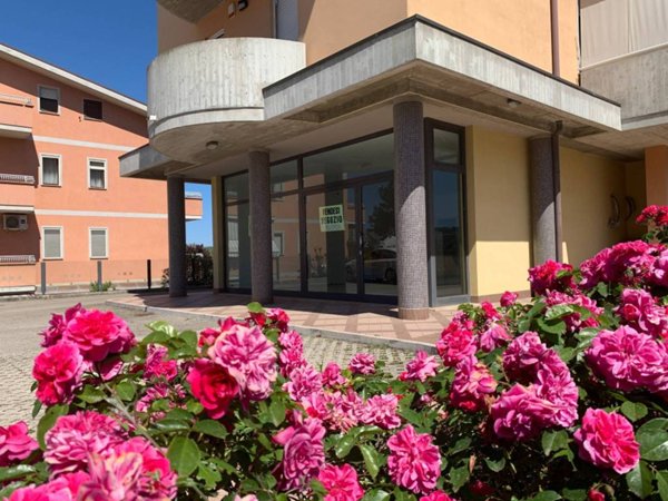 negozio in vendita a Spoltore in zona Santa Teresa