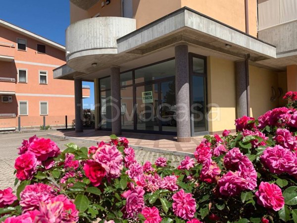 negozio in vendita a Spoltore in zona Santa Teresa