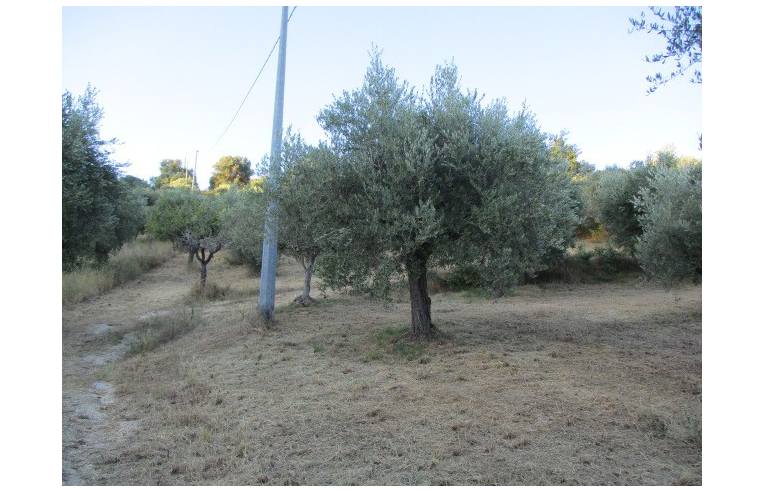 terreno agricolo in vendita a Spoltore
