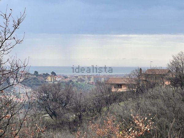 negozio in vendita a Spoltore