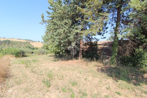 pentavano in vendita a Spoltore in zona Pescarina