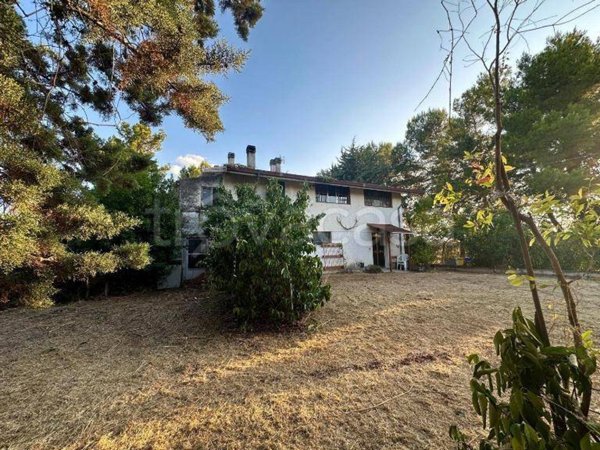 casa indipendente in vendita a Spoltore