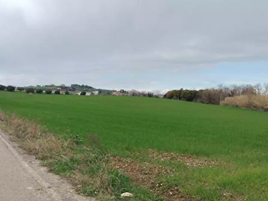 casa indipendente in vendita a Spoltore in zona Villa Raspa