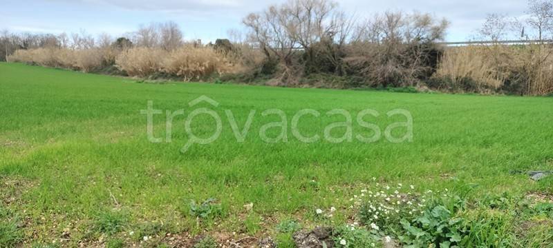 casa indipendente in vendita a Spoltore in zona Villa Raspa