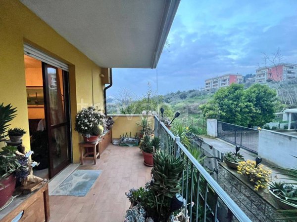 casa indipendente in vendita a Spoltore