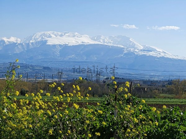casa indipendente in vendita a Spoltore