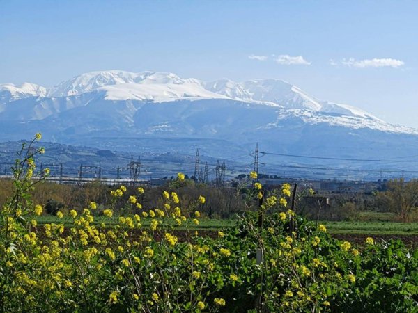 casa indipendente in vendita a Spoltore