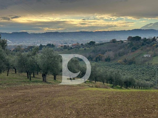 terreno agricolo in vendita a Spoltore
