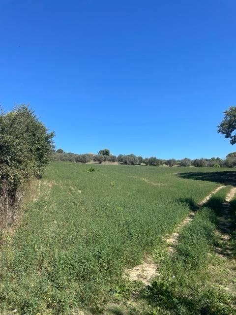 casa indipendente in vendita a Spoltore in zona Pescarina