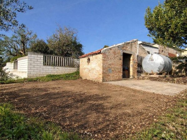 terreno agricolo in vendita a Spoltore