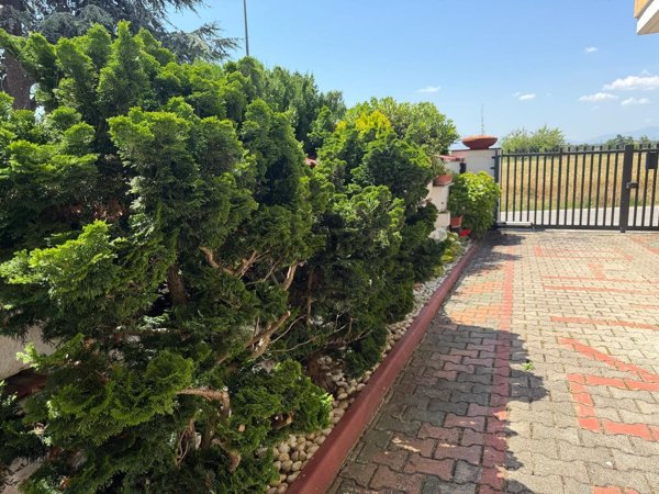 casa indipendente in vendita a Spoltore in zona Santa Teresa