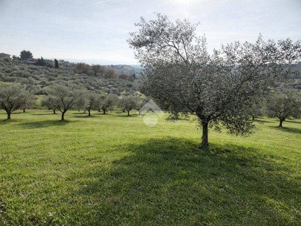 casa indipendente in vendita a Spoltore
