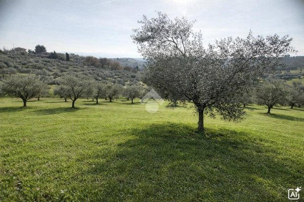 terreno in vendita a Spoltore