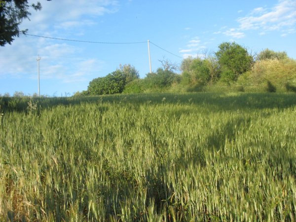 casa indipendente in vendita a Spoltore in zona Villa Santa Maria