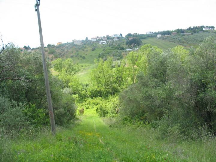 casa indipendente in vendita a Spoltore