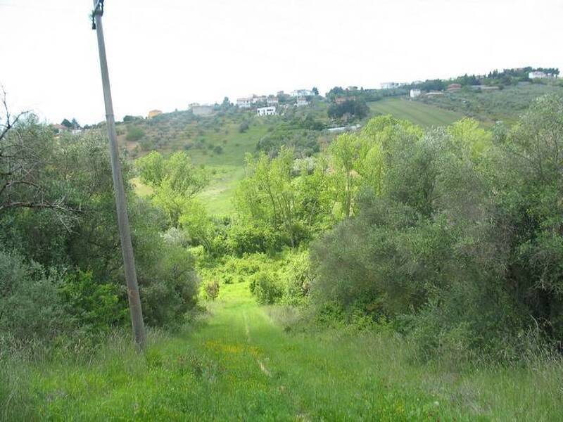 terreno in vendita a Spoltore
