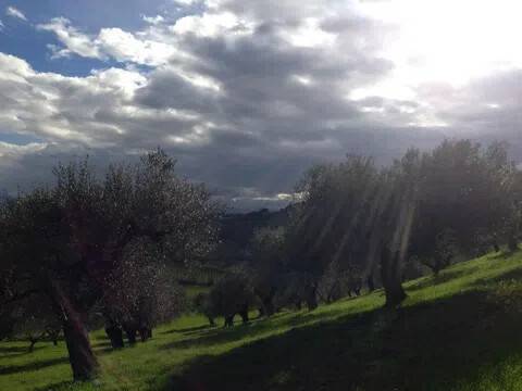 terreno in vendita a Spoltore in zona Santa Lucia