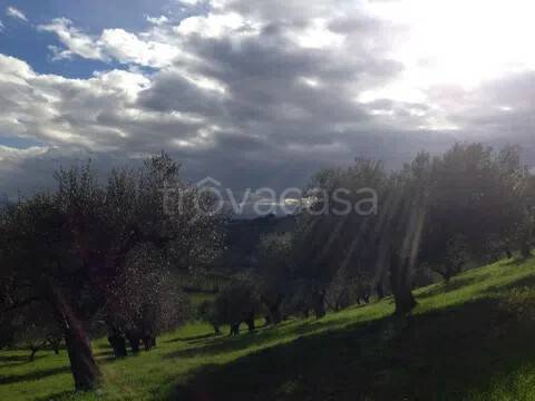 terreno in vendita a Spoltore in zona Santa Lucia
