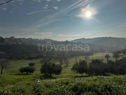 terreno in vendita a Spoltore