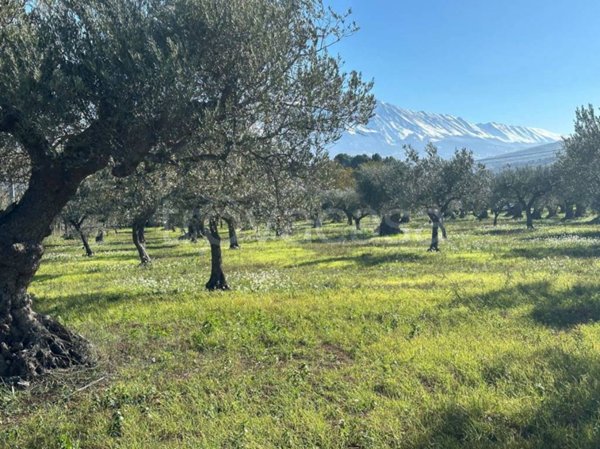 negozio in vendita a Tocco da Casauria in zona Marano